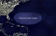 Чому Саргасове море не має берегів: феномен, що досі дивує вчених