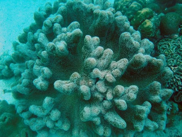 Унікальна глибина морського дна