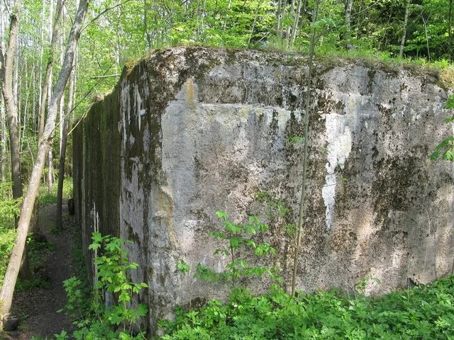Вовче лігвище