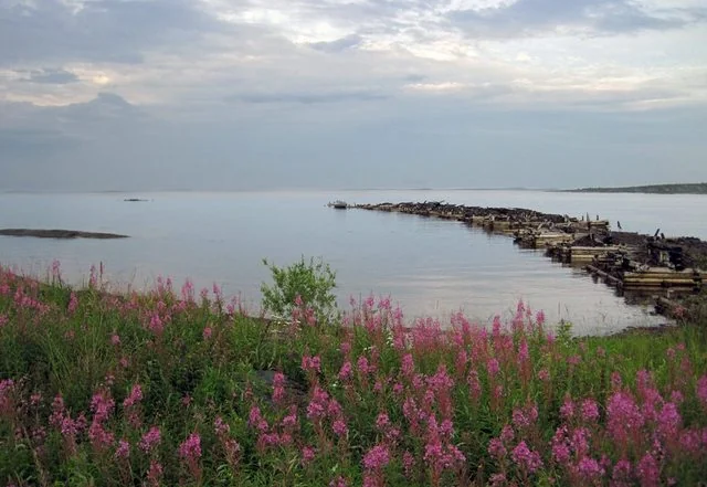 Історичні береги Білого моря