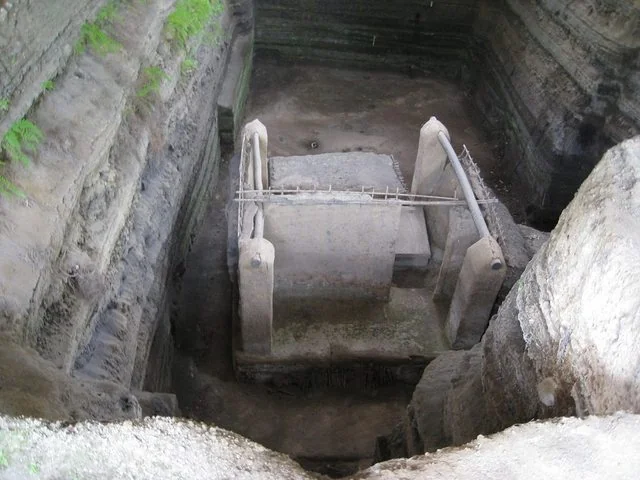 Хойя Де Серен