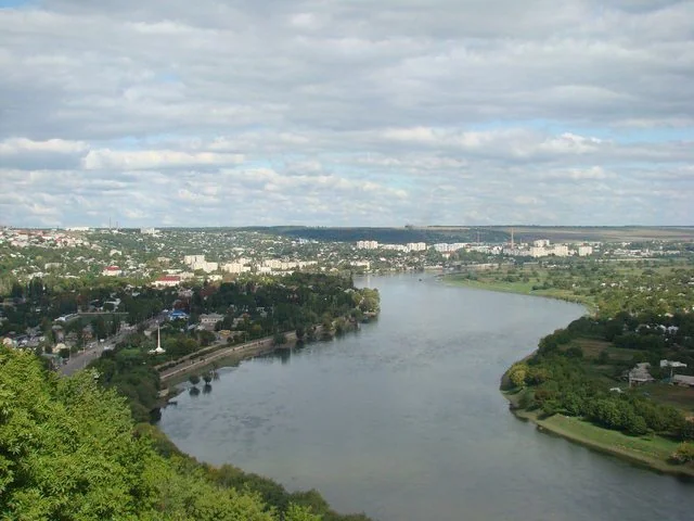 Сороки