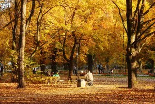 Осінній парк у Варшаві