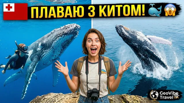 Тонга: острів де ожиріння — це красиво, а з китами плаваєш легально!